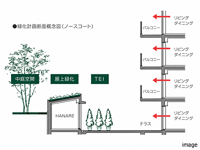 緑化計画断面概念図｜グランノア杉並上井草
