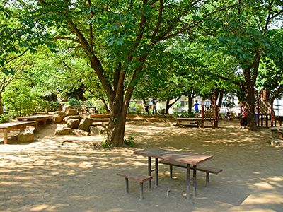妙正寺公園｜グランノア杉並上井草